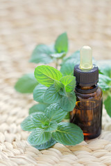 mint essential oil