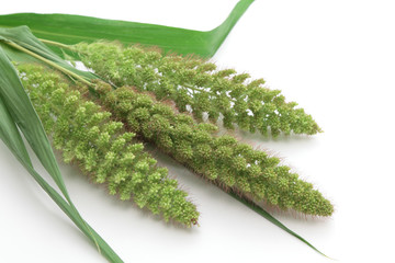 Naklejka premium Millet on white background