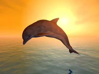 Fotobehang Dolfijnen springende dolfijn