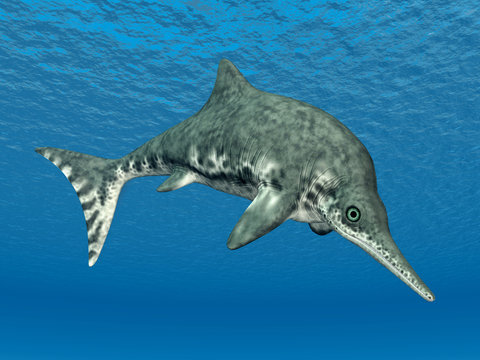 Ichthyosaurier Stenopterygius