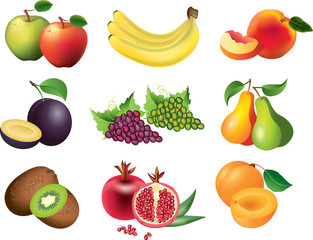 fruits photo-realistic vector set