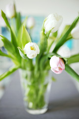 Fototapeta na wymiar Pink and white tulips