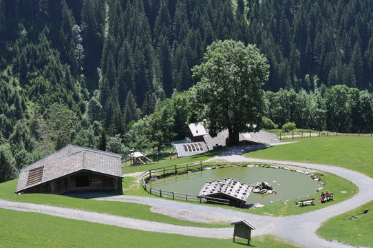 Wildpark