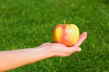 Hand of a young woman held an apple.