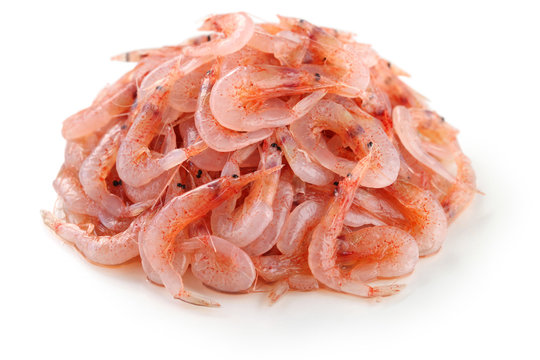 raw sakura shrimp, japanese food
