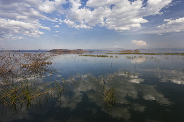 Baringo Lake, Kenya