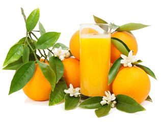 Orange  juice