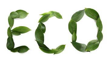 inscription ECO of beautiful green leaves, isolated on white