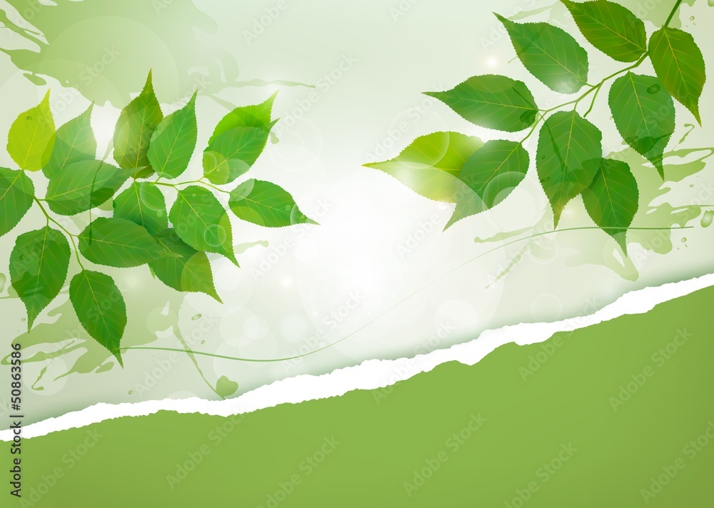 Poster nature background with green spring leaves and ripped paper. vec