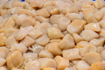 Pile of peeled raw scallops