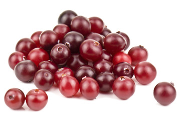 ripe cranberries