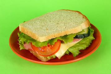 Sandwich on plate on green background