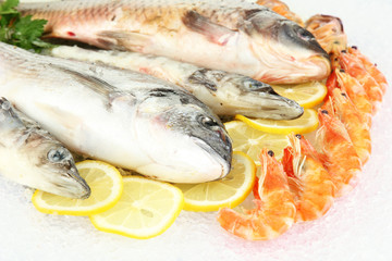 Fresh seafood on ice