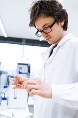 Young male researcher carrying out scientific research in a lab