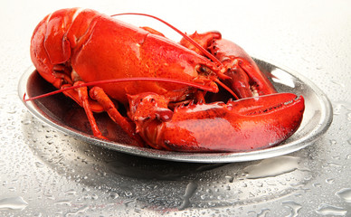 Red lobster on tray, on grey background