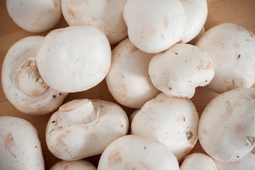 mushrooms on the wooden table