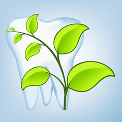 tooth design element. vector mesh illustration
