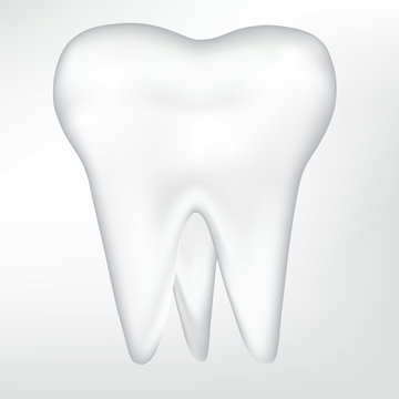 tooth design element. vector mesh illustration