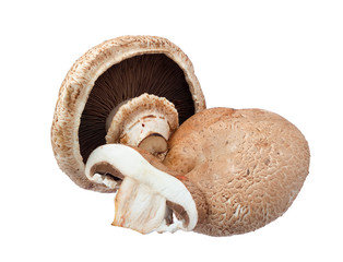 Portabella mushrooms.