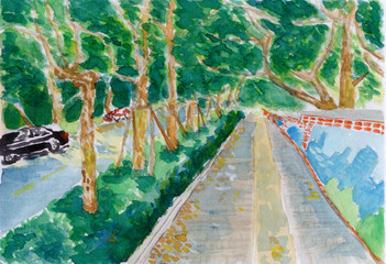 tree trail ，a watercolor painting