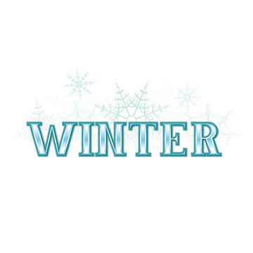 Winter Banner