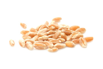 wheat on a white background