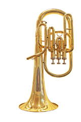 trumpet