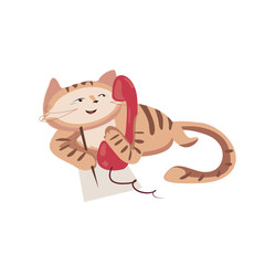 Funny cat with phone