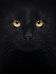 Crédence de cuisine en verre imprimé Chat Close-up of a Black Cat looking at the camera