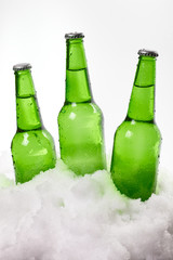 beer bottles in snow