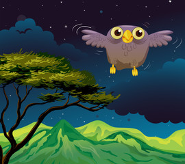 An owl flying in the middle of the night