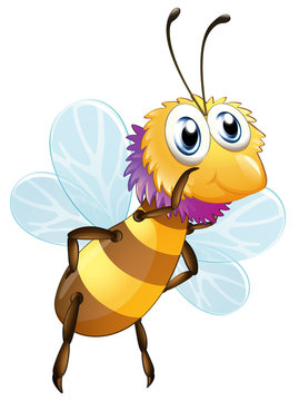 A big bumblee bee