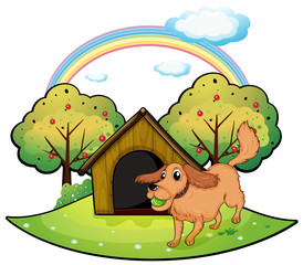 Obraz na płótnie Canvas Pies gra na zewnątrz budy koło jabłoni