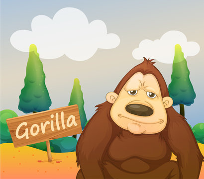 A gorilla beside a signboard