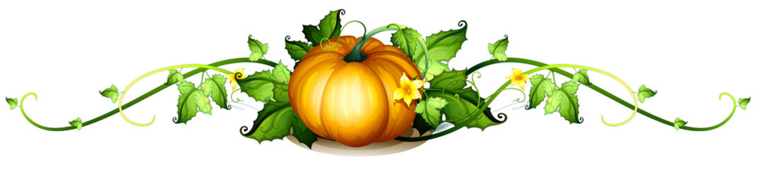 A border made of vine plants and a squash