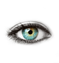 Fototapeta premium Beautiful blue human eye isolated on white macro shot