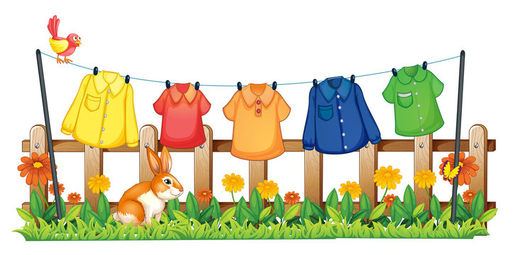 A garden with hanging clothes and a bunny