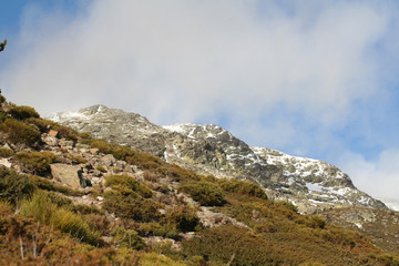 Paisaje Alta Montaña