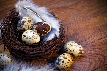 easter feather eggs