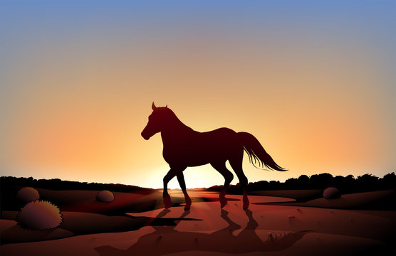 A horse in a sunset scenery at the desert