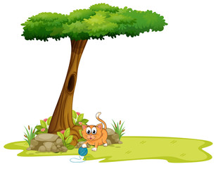 Een oranje kat die onder de boom speelt