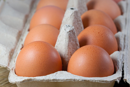 frische braune Eier im Eierkarton