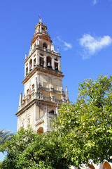 Fototapeta na wymiar Cordoba Cathedral