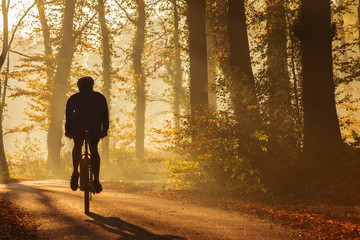Silhouet van een fietser in de herfst