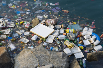Pollution in water