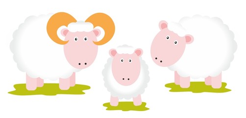Sheeps family