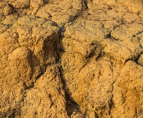 Dry sand background.