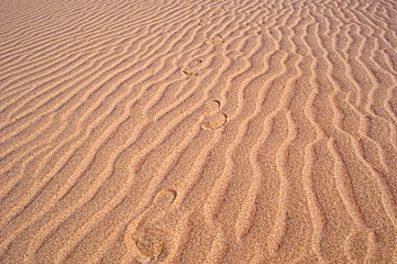 Footprints on the beach