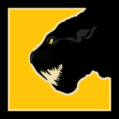 Black panther