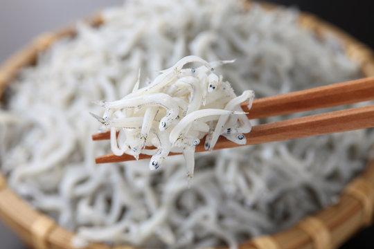 boiled whitebait, japanese food